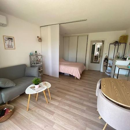 Studio Cosy 100M Plage Сен-Рафаель Екстер'єр фото